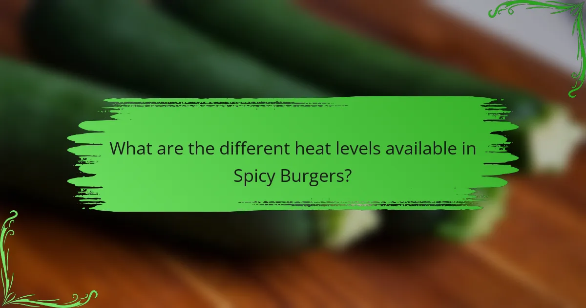 What are the different heat levels available in Spicy Burgers?